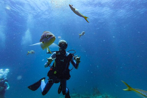 catamaran_lsland_hoppin_scuba